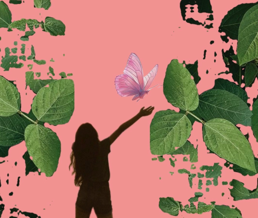 Silhouette de femme levant la main vers un papillon, symbole de libération et de transformation